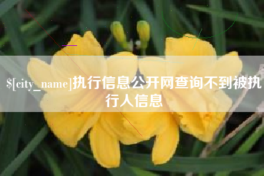 广东执行信息公开网查询不到被执行人信息