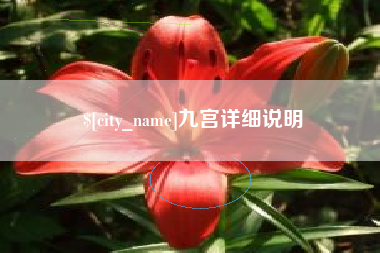 广东九宫详细说明