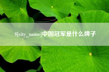 广东中国冠军是什么牌子