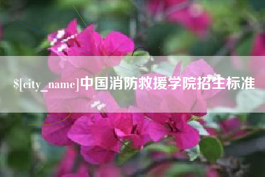 广东中国消防救援学院招生标准