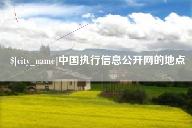 广东中国执行信息公开网的地点