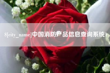 广东中国消防产品信息查询系统1