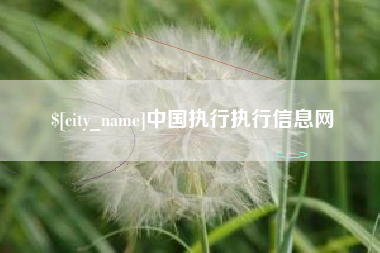 广东中国执行执行信息网