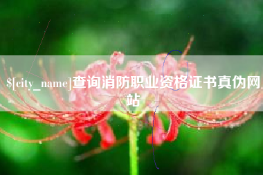 广东查询消防职业资格证书真伪网站