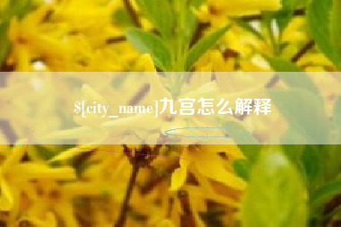 广东九宫怎么解释