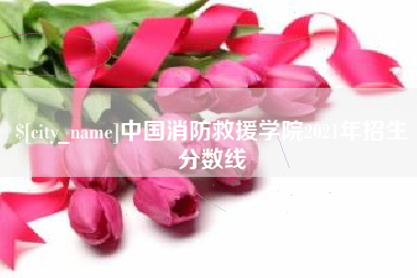 广东中国消防救援学院2021年招生分数线