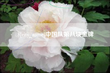 广东中国队第八块金牌