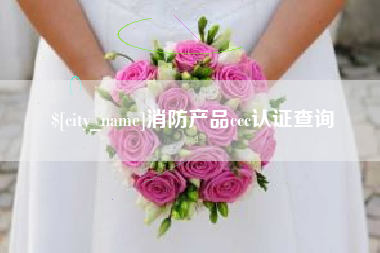 广东消防产品ccc认证查询