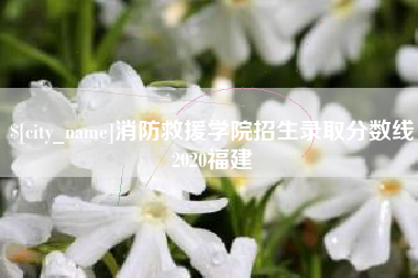 广东消防救援学院招生录取分数线2020福建