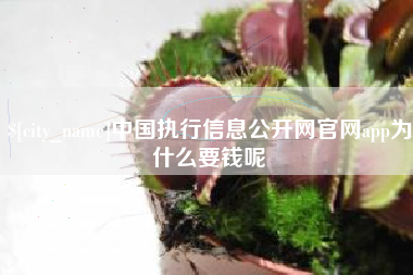 广东中国执行信息公开网官网app为什么要钱呢