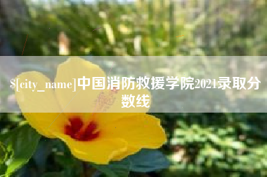 广东中国消防救援学院2021录取分数线