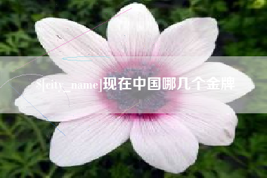广东现在中国哪几个金牌