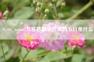 广东九宫格数字代表的五行是什么
