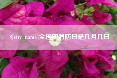 广东全国的消防日是几月几日