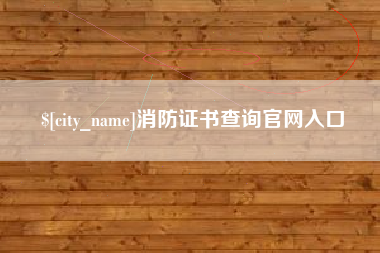 广东消防证书查询官网入口