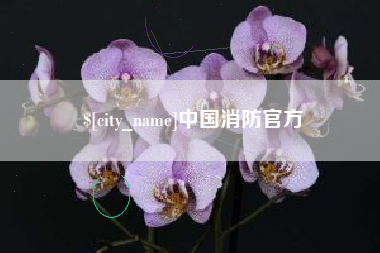 广东中国消防官方