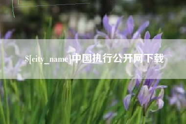 广东中国执行公开网下载