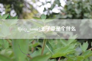 广东王子豪是个什么