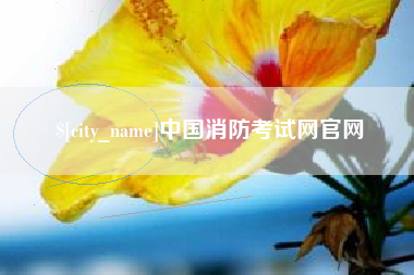 广东中国消防考试网官网