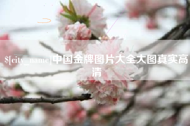 广东中国金牌图片大全大图真实高清