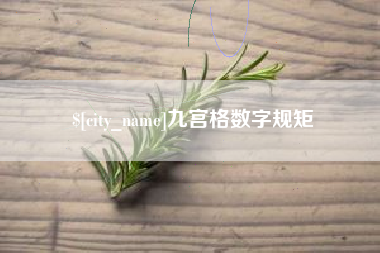 广东九宫格数字规矩