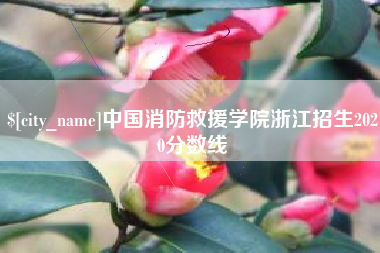 广东中国消防救援学院浙江招生2020分数线
