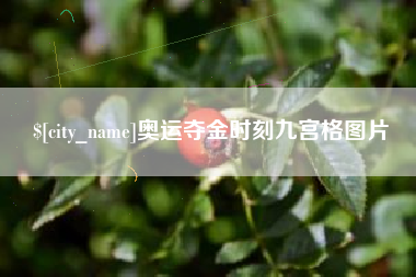 广东奥运夺金时刻九宫格图片