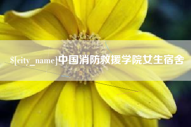广东中国消防救援学院女生宿舍