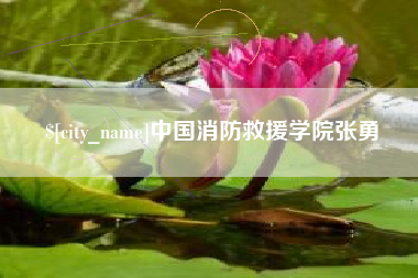 广东中国消防救援学院张勇