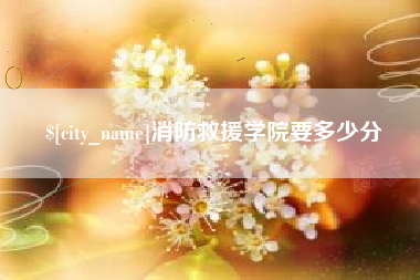 广东消防救援学院要多少分
