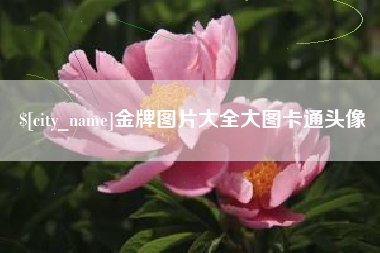 广东金牌图片大全大图卡通头像