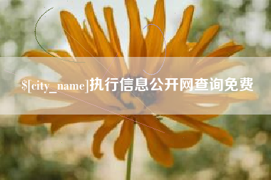 广东执行信息公开网查询免费