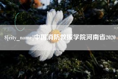 广东中国消防救援学院河南省2020