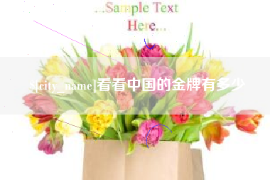 广东看看中国的金牌有多少